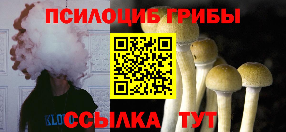 Саров  Галлюциногенные грибы мухоморы  Вход с VPN  Галлюциногенные грибы Cubensis 